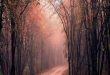 2021欧洲杯全部赛程比分是怎样的？